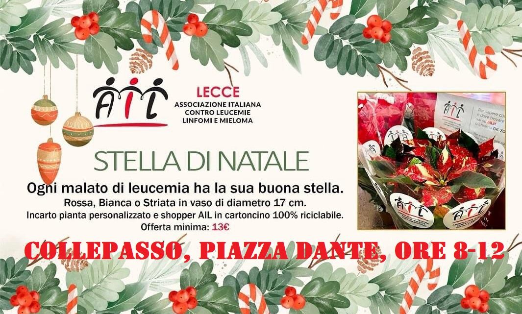 Gazebo in piazza Dante con le Stelle di Natale dell’Associazione Italiana contro le Leucemie (10 dicembre, ore 8-12) Gazebo in piazza Dante con le Stelle di Natale dell’Associazione Italiana contro le Leucemie (10 dicembre, ore 8-12)