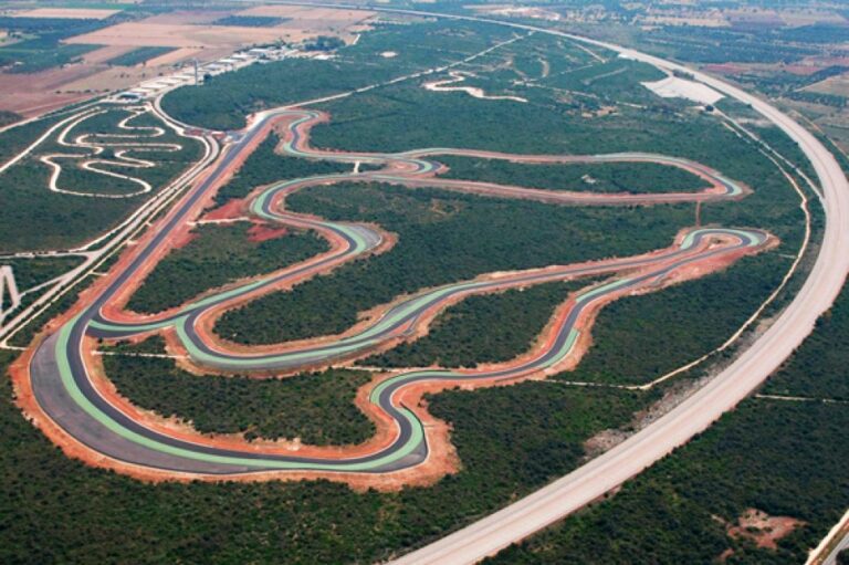 “Ancora a rischio la foresta dell’Arneo”: il 20 novembre a Lecce conferenza stampa di Italia Nostra “Ancora a rischio la foresta dell’Arneo”: il 20 novembre a Lecce conferenza stampa di Italia Nostra