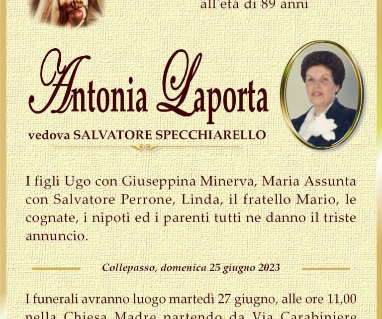 È morta Antonia Laporta, ved. Specchiarello È morta Antonia Laporta, ved. Specchiarello