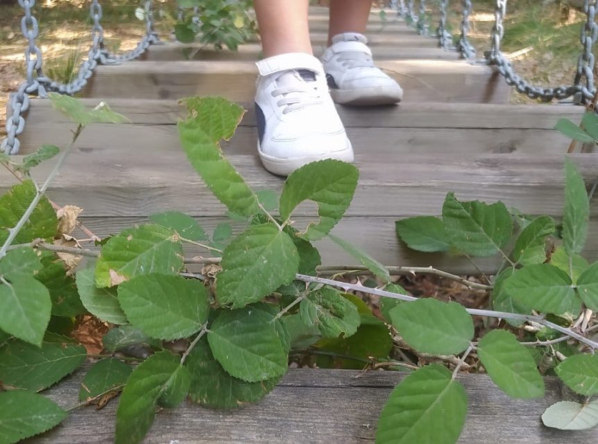 “Non è un gioco da ragazzi”… una foto che, scrive un cittadino, “racchiude la vera essenza di questa amministrazione” “Non è un gioco da ragazzi”… una foto che, scrive un cittadino, “racchiude la vera essenza di questa amministrazione”