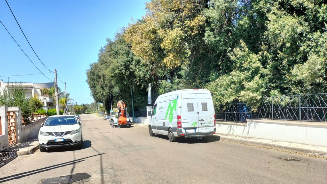 “Emergenza fitosanitaria Bosco”: finalmente l’avvio dei lavori per il taglio delle piante e delle parti “malate” “Emergenza fitosanitaria Bosco”: finalmente l’avvio dei lavori per il taglio delle piante e delle parti “malate”