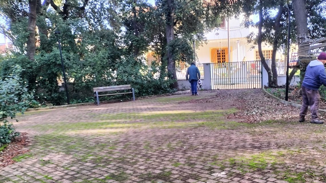 Cronaca e foto del 10 gennaio, giorno di pulizia del Bosco e dei bagni pubblici. Necessarie urgenti iniziative per salvare il Bosco Cronaca e foto del 10 gennaio, giorno di pulizia del Bosco e dei bagni pubblici. Necessarie urgenti iniziative per salvare il Bosco