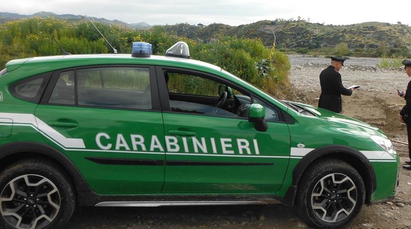 I Carabinieri Forestali sequestrano a Collepasso cantiere edile abusivo sulla Serra di Sant’Eleuterio, “area tutelata”. Denunciato il proprietario I Carabinieri Forestali sequestrano a Collepasso cantiere edile abusivo sulla Serra di Sant’Eleuterio, “area tutelata”. Denunciato il proprietario