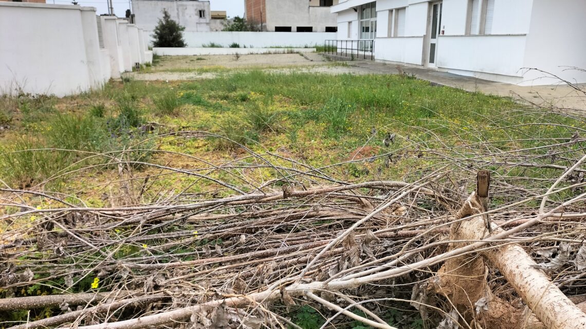 Traditi gli anziani di Collepasso: una moderna struttura sociale costata 600mila euro, pronta da 12 anni e mai aperta, riconvertita per miopia e ottusità politiche Traditi gli anziani di Collepasso: una moderna struttura sociale costata 600mila euro, pronta da 12 anni e mai aperta, riconvertita per miopia e ottusità politiche