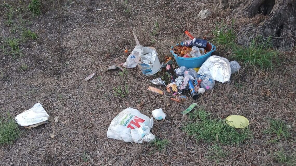 Rifiuti in “zona Circuito”: denuncia e appello di un cittadino Rifiuti in “zona Circuito”: denuncia e appello di un cittadino