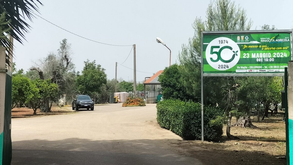23 maggio, celebrazioni per il 50° anniversario di fondazione della Cooperativa “Rinascita Agricola” di Collepasso 23 maggio, celebrazioni per il 50° anniversario di fondazione della Cooperativa “Rinascita Agricola” di Collepasso
