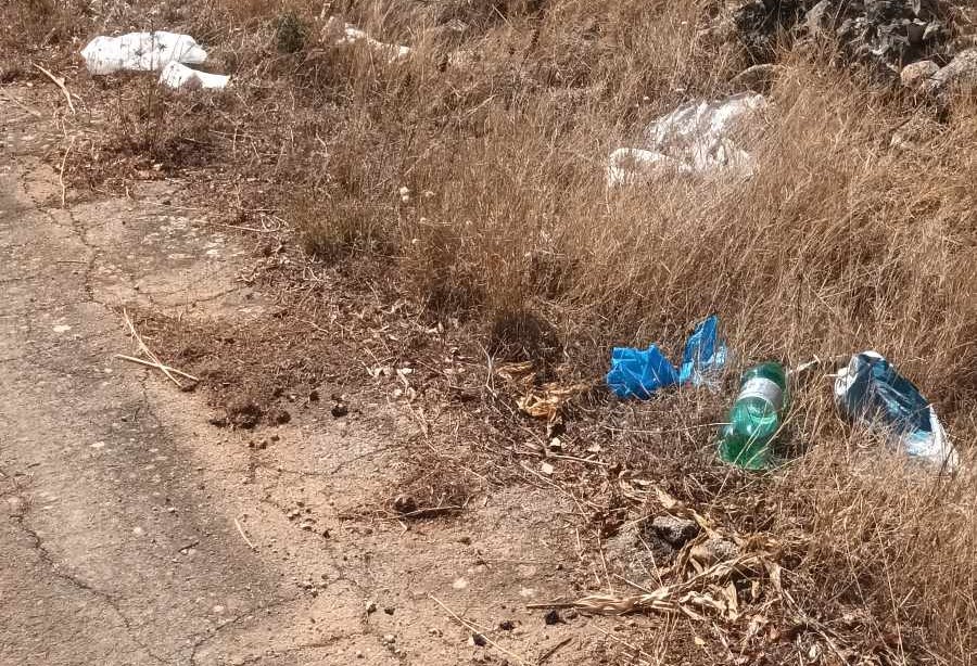 Le “foto del giorno”: “…le stagioni passano ed i rifiuti crescono in zona Sant’Eleuterio” Le “foto del giorno”: “…le stagioni passano ed i rifiuti crescono in zona Sant’Eleuterio”