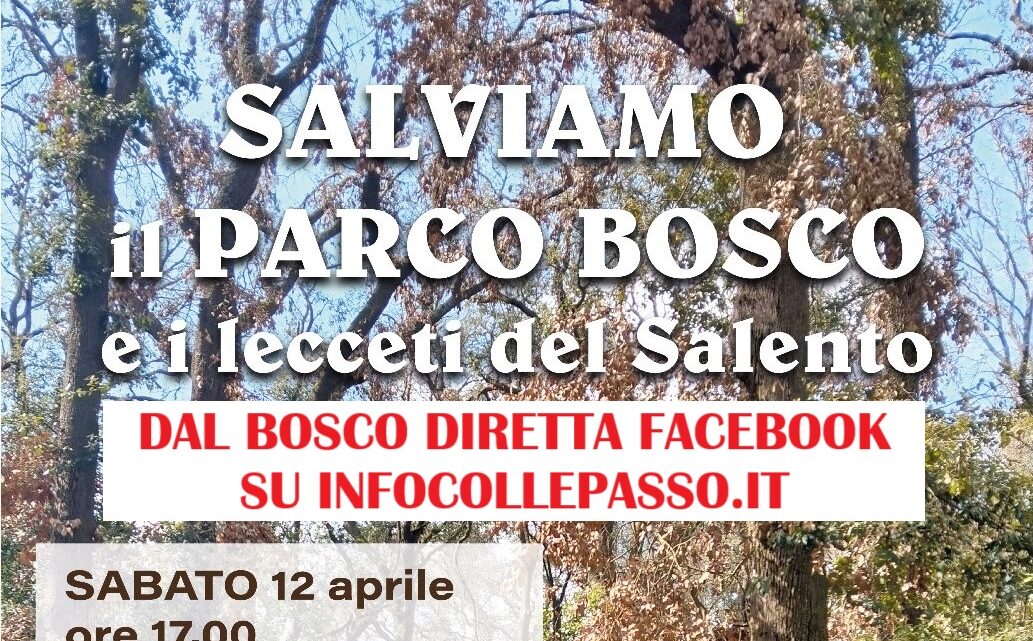 Questa sera, alle ore 17, l’iniziativa “Salviamo il Parco Bosco” presso il Parco Bosco Questa sera, alle ore 17, l’iniziativa “Salviamo il Parco Bosco” presso il Parco Bosco