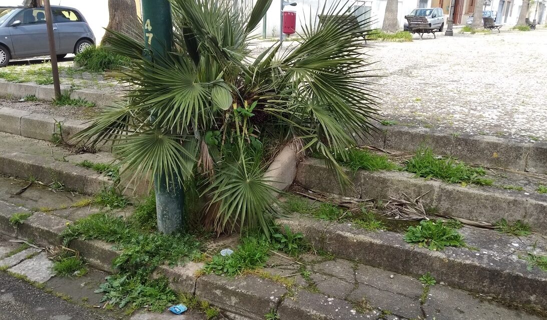 La “foto del giorno”: la sempreverde “villetta degli innamorati” La “foto del giorno”: la sempreverde “villetta degli innamorati”